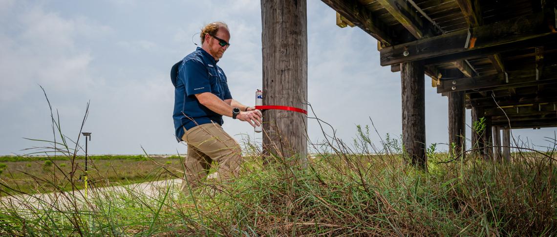 In addition to relying on data from more expensive Sentinels, engineering professor Dr. Bret Webb will deploy smaller storm surge and wave gauges in advance of a hurricane. They can be affixed to structures such as this pier on Dauphin Island.